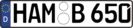 HAM-B650