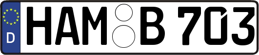 HAM-B703