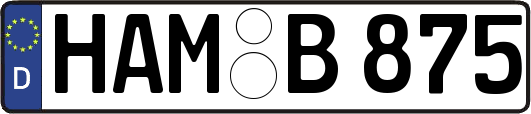 HAM-B875