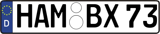 HAM-BX73