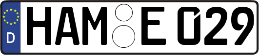 HAM-E029