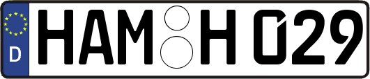 HAM-H029