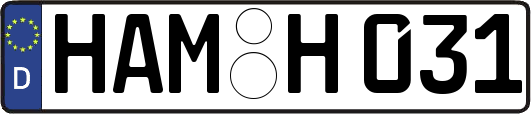 HAM-H031