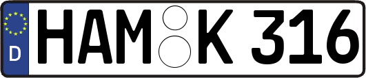 HAM-K316