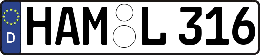 HAM-L316
