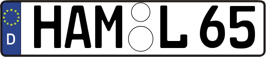 HAM-L65