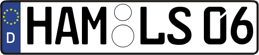 HAM-LS06