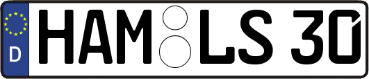 HAM-LS30