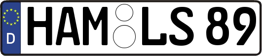 HAM-LS89
