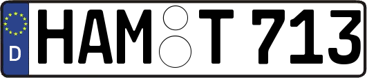 HAM-T713