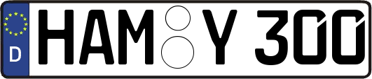 HAM-Y300