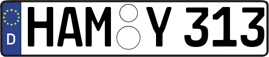 HAM-Y313