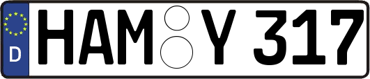 HAM-Y317