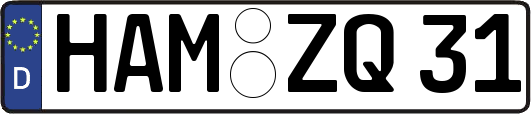 HAM-ZQ31