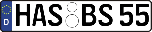 HAS-BS55