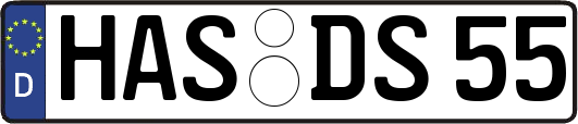 HAS-DS55