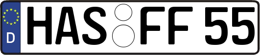 HAS-FF55