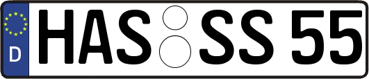 HAS-SS55