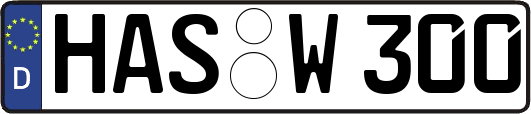 HAS-W300