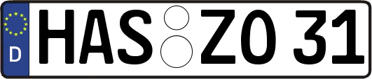 HAS-ZO31