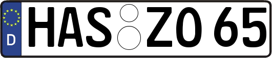 HAS-ZO65