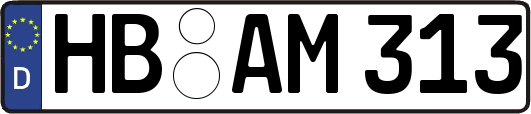 HB-AM313