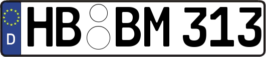 HB-BM313