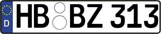 HB-BZ313