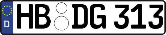 HB-DG313