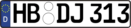 HB-DJ313