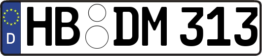 HB-DM313