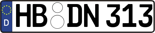 HB-DN313