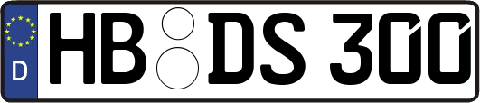 HB-DS300