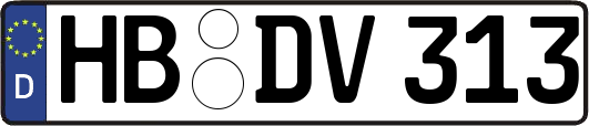 HB-DV313
