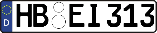 HB-EI313