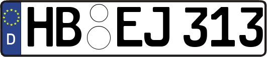 HB-EJ313