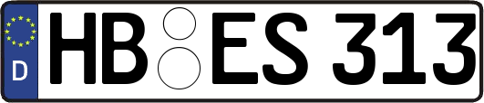 HB-ES313