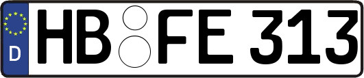 HB-FE313