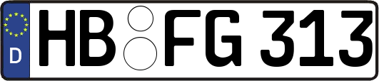 HB-FG313