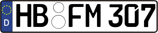 HB-FM307
