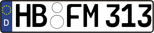 HB-FM313