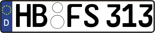 HB-FS313
