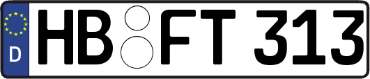 HB-FT313
