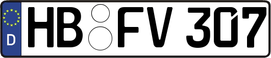 HB-FV307