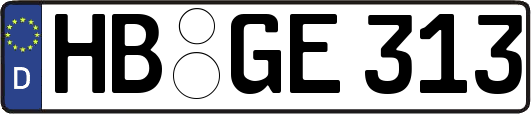 HB-GE313