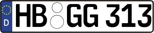 HB-GG313