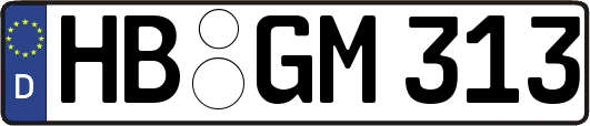 HB-GM313