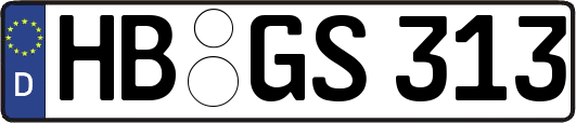 HB-GS313