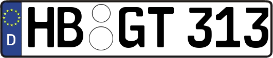 HB-GT313