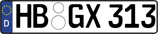 HB-GX313